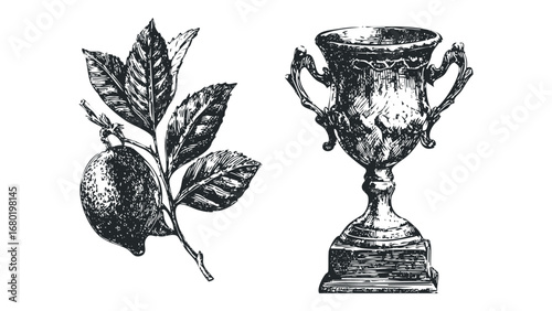 Vintage trophy and citrus branch with leaves in graphic style on transparent background. Vector hand drawn illustration