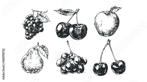 Hand Drawn Fruit Assortment Transparent Background. Vector hand drawn illustration