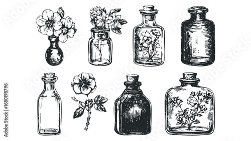 Group of vintage-style glass bottles with natural botanical elements and flowers. Vector hand drawn illustration