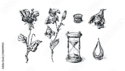 Ink sketch of blooming iris flowers and withered rose elements with hourglass and water drop. Vector hand drawn illustration