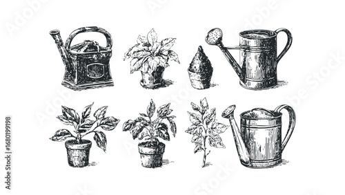 Vintage garden watering cans and potted plants ink sketch. Vector hand drawn illustration