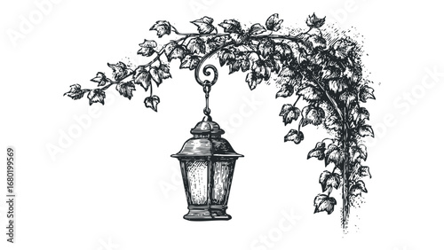 Vintage Lantern Suspended from Vine with Lush Foliage. Vector hand drawn illustration