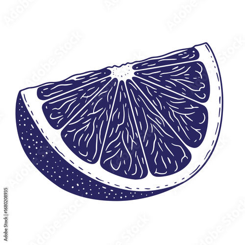 Artistic isolated illustration of a half orange slice with detailed texture and white background