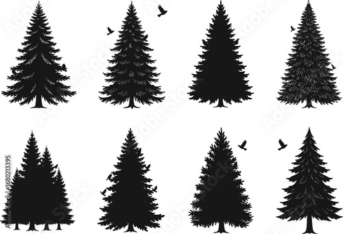 Silhouette pine tree vector set with flying birds, evergreen forest nature icons, detailed black tree designs for landscape projects