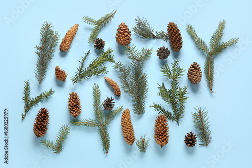 Pine cones and fir branches...