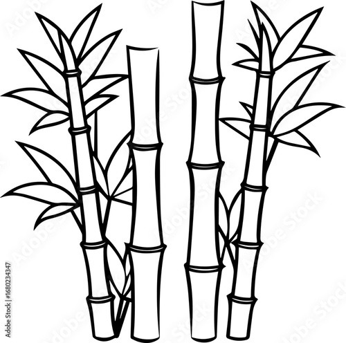 bamboo outline coloring book page vector illustration line art digital drawing
