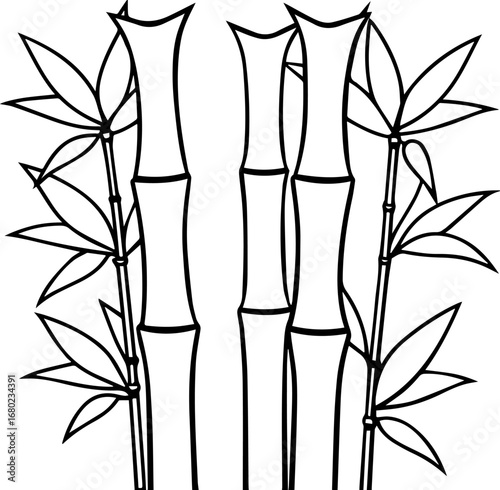 bamboo outline coloring book page vector illustration line art digital drawing