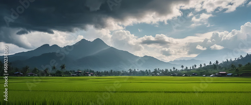 cinematic shot of expansive rice fields with mountain silhouettes in the distance, dramatic clouds in the sky
