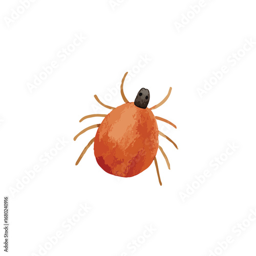 Detailed Illustration of an Orange Tick with Dark Head