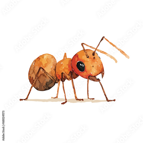 Detailed Watercolor Illustration of a Realistic Orange Ant Profile View