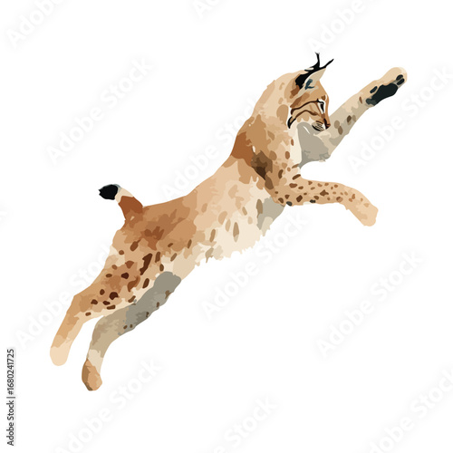 Leaping Lynx with Spotted Fur and Tufted Ears in Dynamic Pose