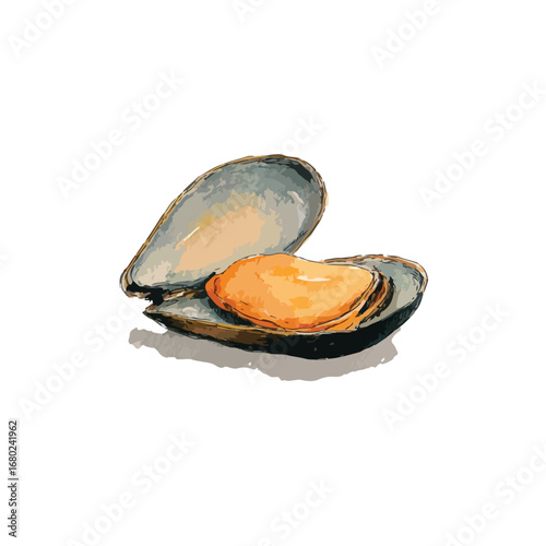 Open Mussel Shell with Vibrant Interior Detail