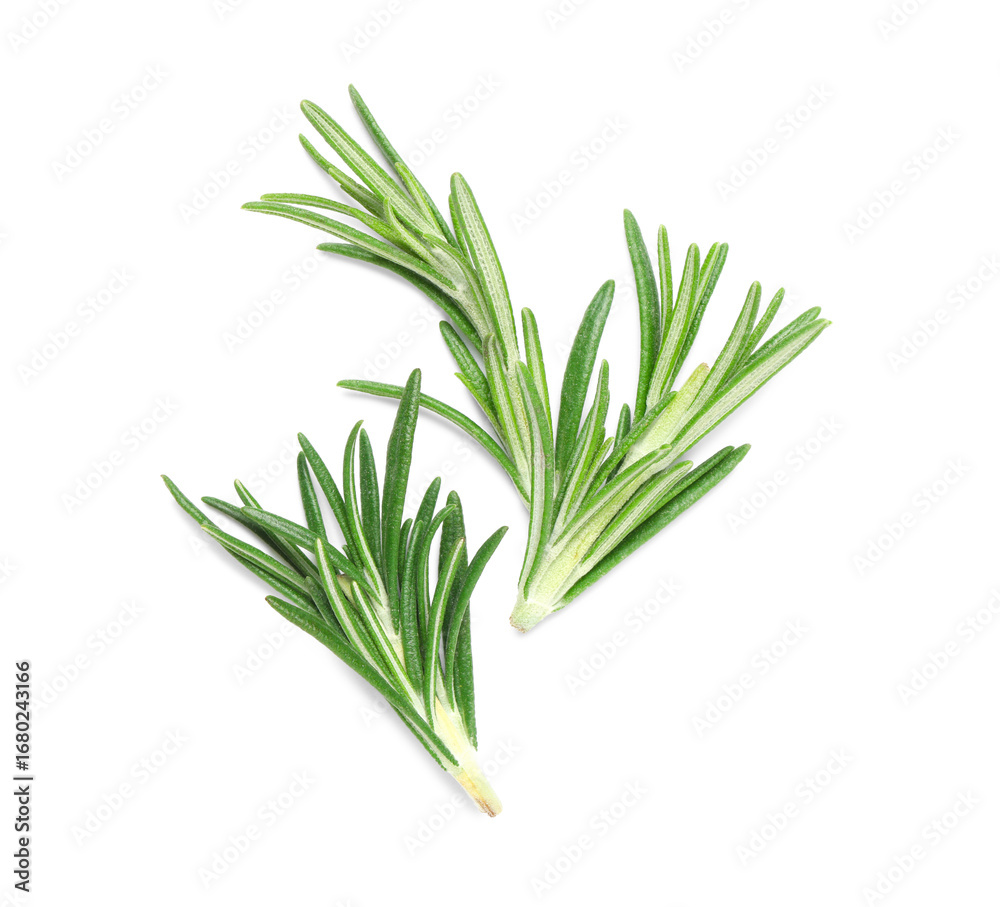 Fototapeta premium Composition with fresh rosemary twigs isolated on white background, closeup