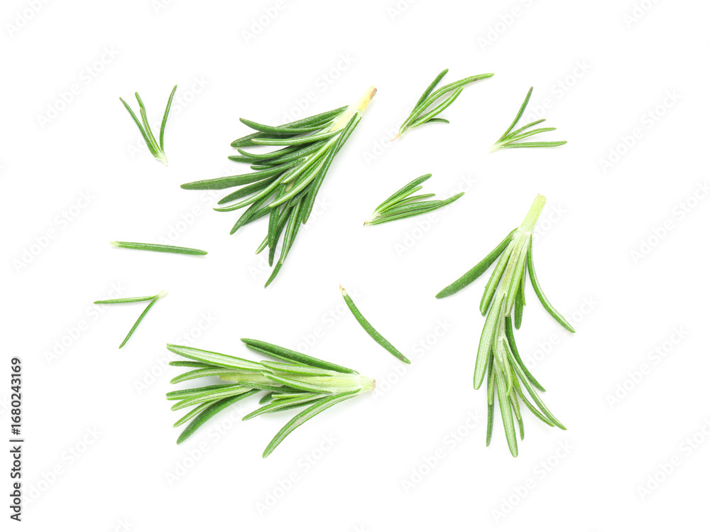 Obraz premium Leaves of fresh rosemary isolated on white background, closeup