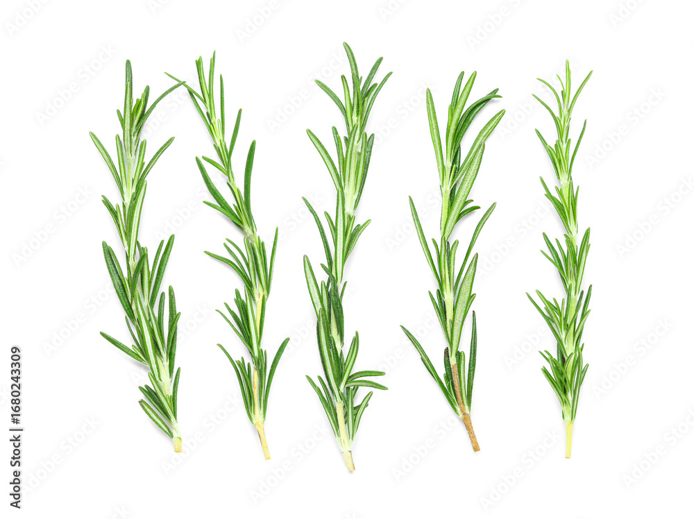 Fototapeta premium Composition with fresh rosemary isolated on white background, closeup