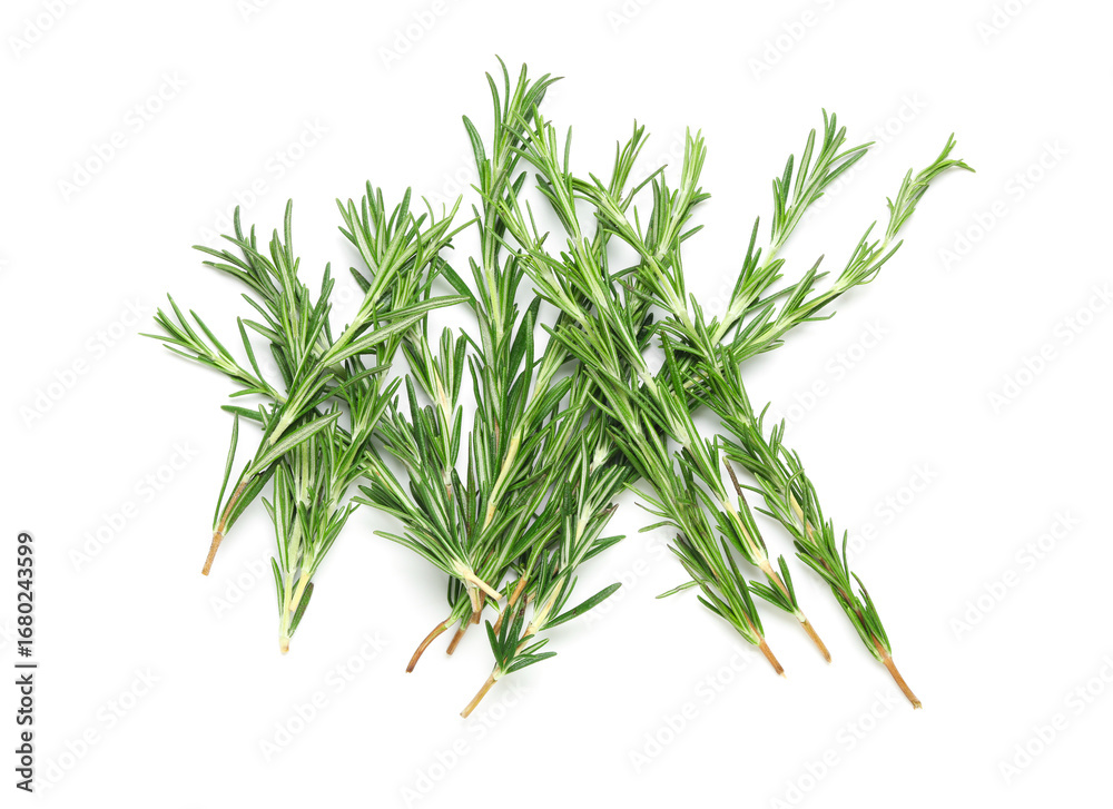 Obraz premium Composition with fresh rosemary twigs isolated on white background, closeup