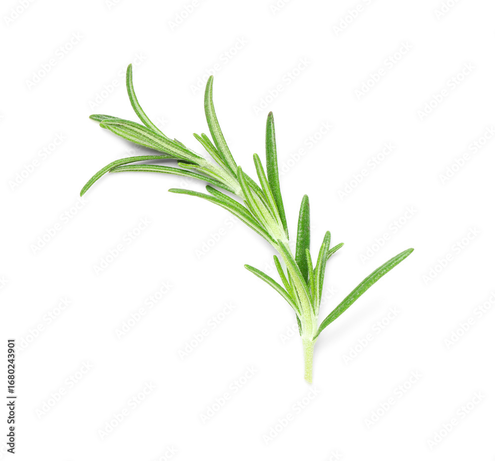 Fototapeta premium Fresh rosemary twig isolated on white background, closeup