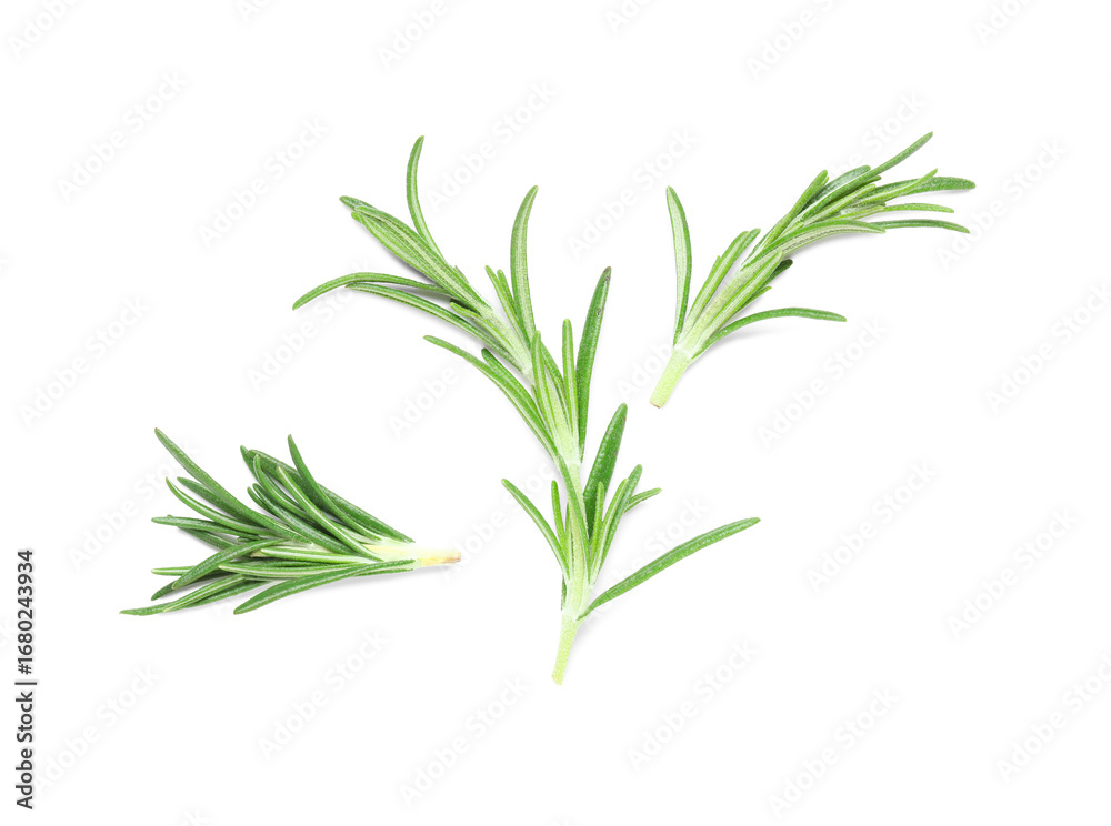 Fototapeta premium Fresh green rosemary isolated on white background, closeup