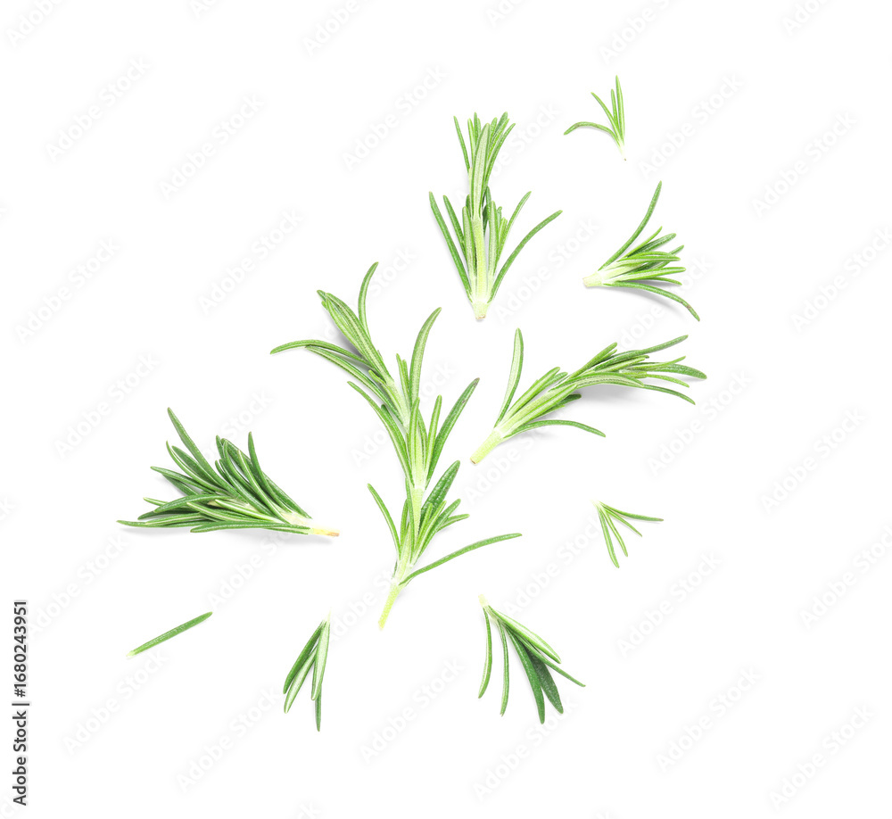 Leaves of fresh green rosemary isolated on white background, closeup Leaves of fresh green rosemary isolated on white background, closeup