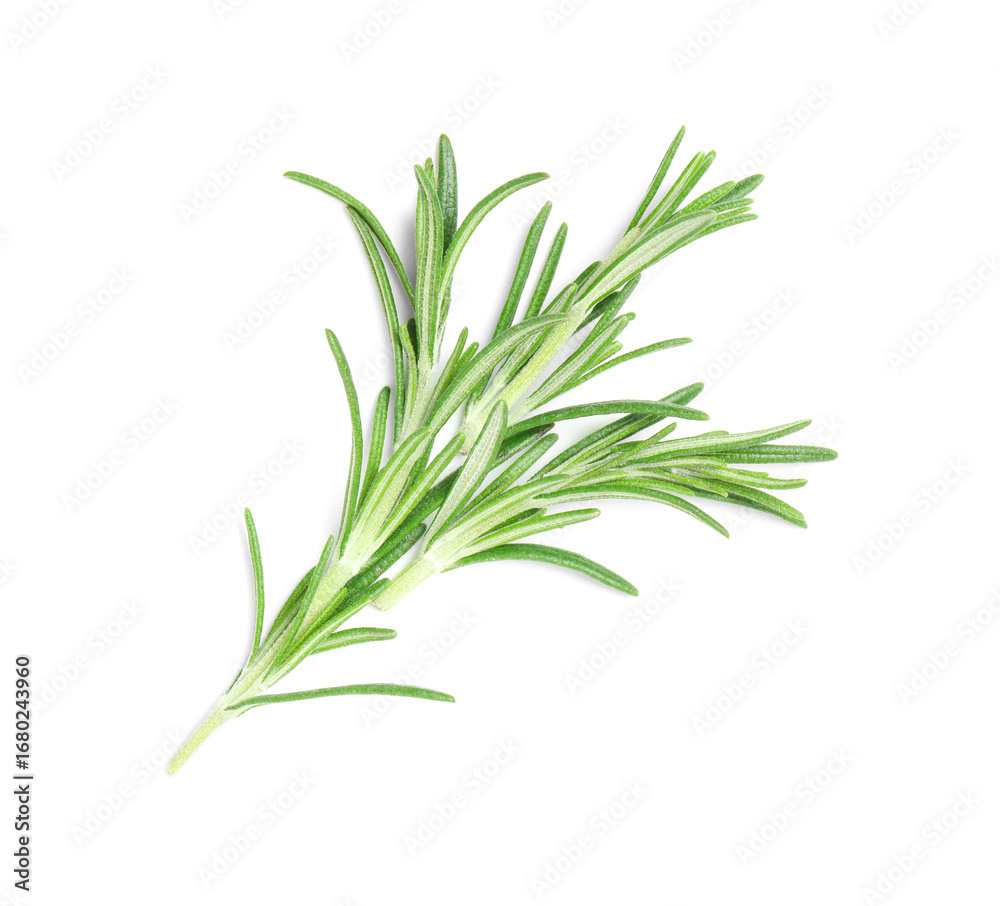 Fototapeta premium Fresh green rosemary isolated on white background, closeup