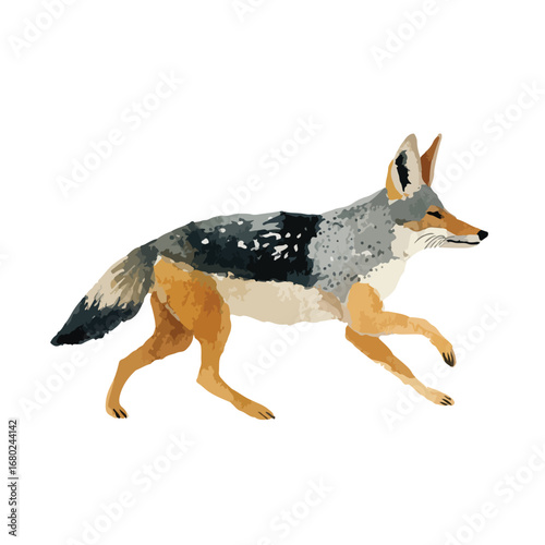 Running Blackbacked Jackal in Profile with Detailed Fur and Color