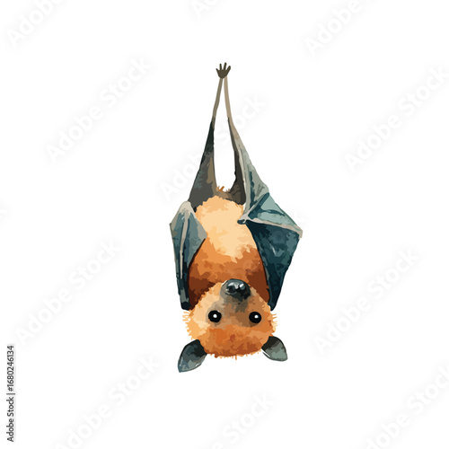 UpsideDown Fruit Bat with Orange Fur and Dark Grey Wings Illustration