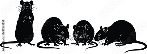 Silhouette of black rats, group of rodents, wild animals, pest control concept, animal illustration, nature wildlife, vector art, mouse family, detailed rodent silhouettes
