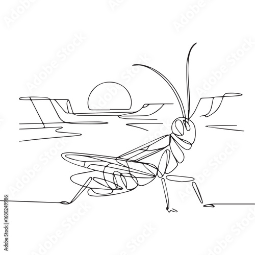 Continuous line of walking standing Orthoptera. Single one line art of wild Orthoptera, One continuous line illustration of an Orthoptera isolated on white background.