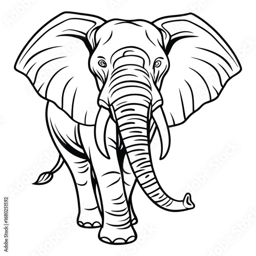 Black and white illustration of an African elephant facing forward Keywords: elephant, african elephant, animal, wildlife, mammal, pachyderm, trunk, tusks, large, ears, grey, outline, drawing