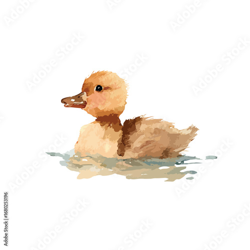 Watercolor Duckling Floating in Calm Water Side Profile View