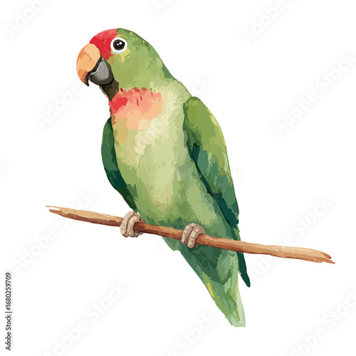 Watercolor Illustration of a Perched Parrot with Vibrant Colors