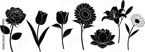 Botanical Flower Collection