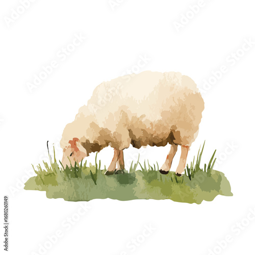 Watercolor Illustration of a Sheep Grazing in a Field