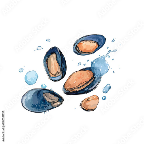 Watercolor Illustration of Fresh Mussels with Water Splashes and Droplets