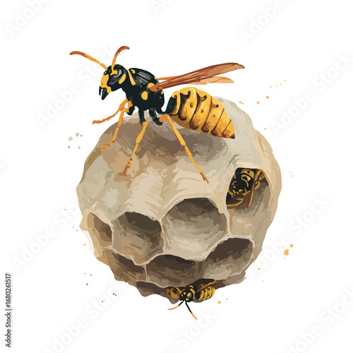 Watercolor Illustration of Wasps and Nest Detailed and Artistic Rendering