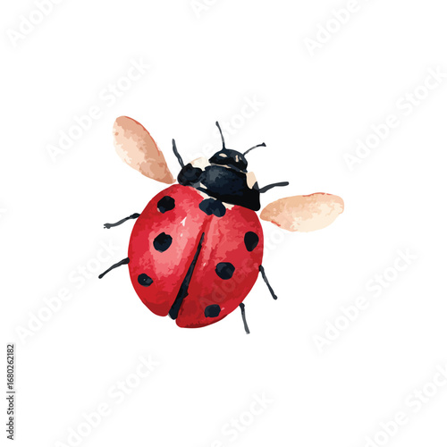 Watercolor Ladybug with Open Wings and Black Spots on Red Shell