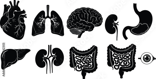 Human Internal Organs Silhouettes