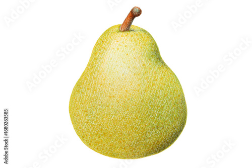 色鉛筆で描いた洋梨