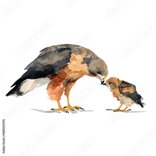 Watercolor Painting of Adult Hawk Interacting with a Small Fledgling