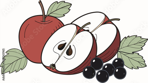 Red Apples and Black Currants Illustration sliced apple fruit