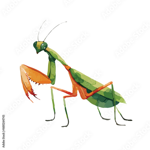 Watercolor Praying Mantis in Profile Vivid Green and Orange Hues