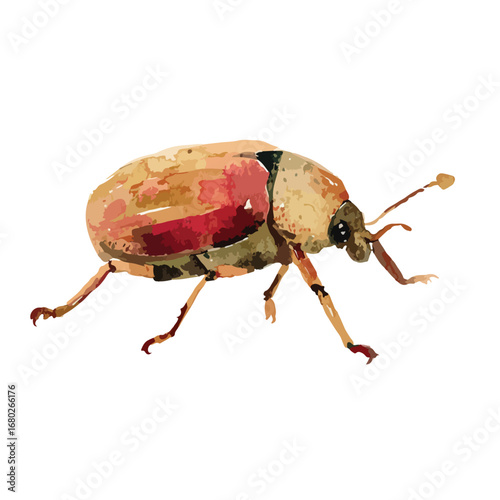 Watercolor style beetle with reddishbrown hues and six legs viewed from the side