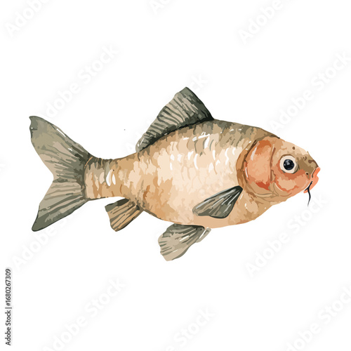 Watercolor style illustration of a golden fish with flowing fins and whiskers