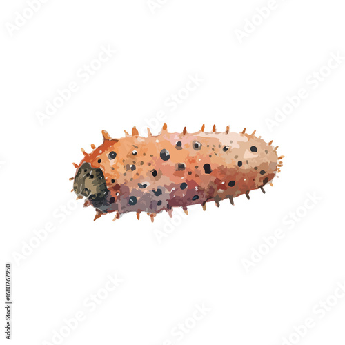 Watercolor style spiky caterpillar with mottled brown and black markings