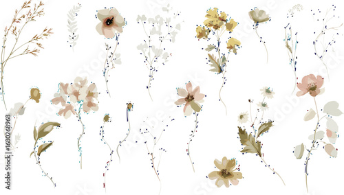 Watercolor floral illustration - wildflowers individual element set. Autumn fall dried flowers leaves branches