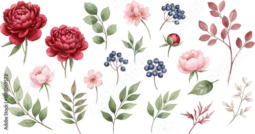 Watercolor floral illustration individual elements set - green leaves, burgundy pink peach blush white flowers, branches.