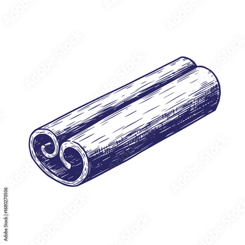 Detailed hand drawn illustration of a cinnamon stick depicting culinary spices and flavor
