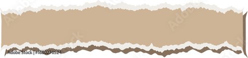 Textured paper edge overlay with tattered bottom for graphic design elements vector