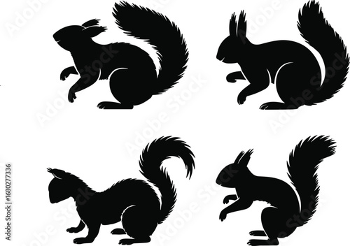 Squirrel silhouette set, wildlife animal poses, black vector illustration, bushy tail designs, isolated on white background, various artistic styles, cad drawing flat vector illustration