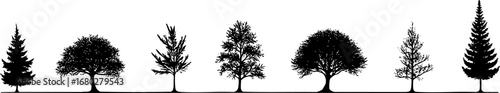 Diverse Tree Silhouette Collection 